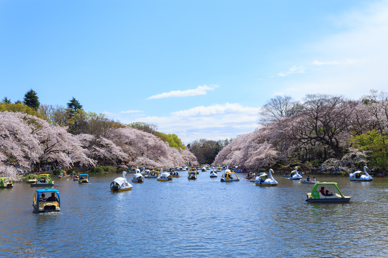 井の頭公園